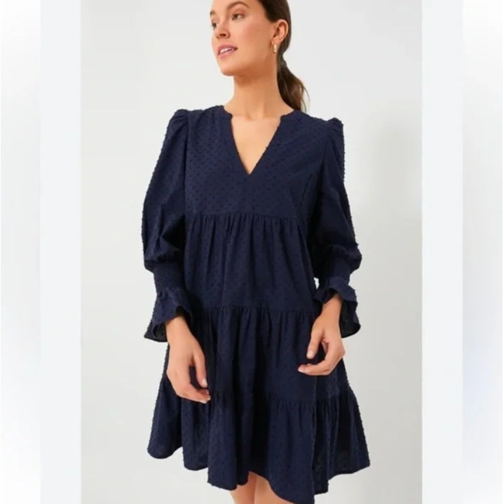 Tuckernuck Pomander Place Kenzo Dress XS Navy Blue Swiss‎ Dot Ruffle Tiered Mini
